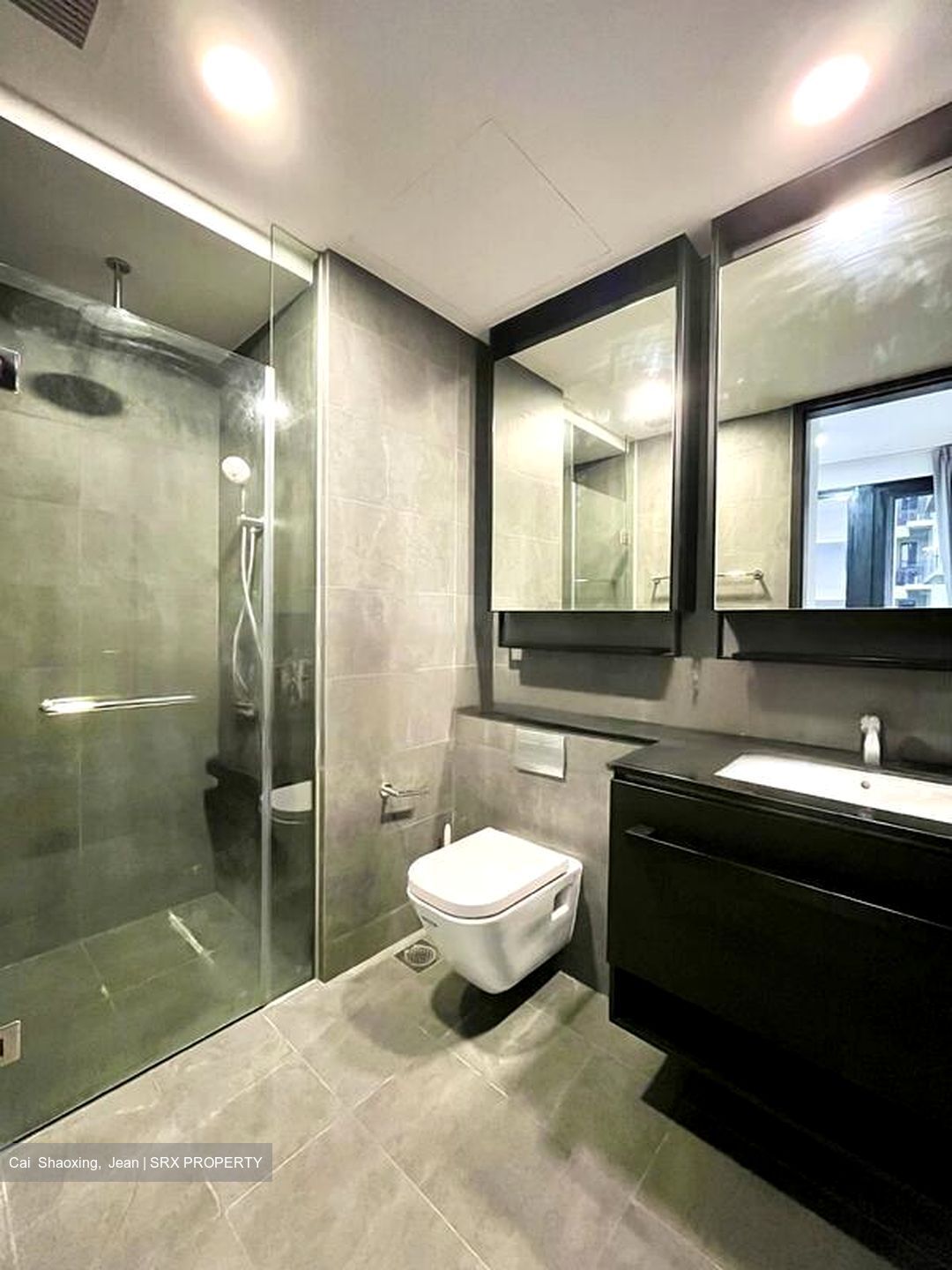Park Colonial (D13), Condominium #475848551